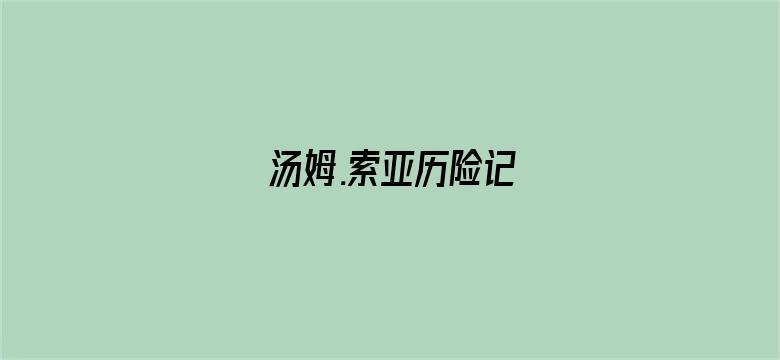 汤姆.索亚历险记